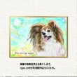 画像4: パピヨンちゃんのイラストポスター  送料185円 (4)