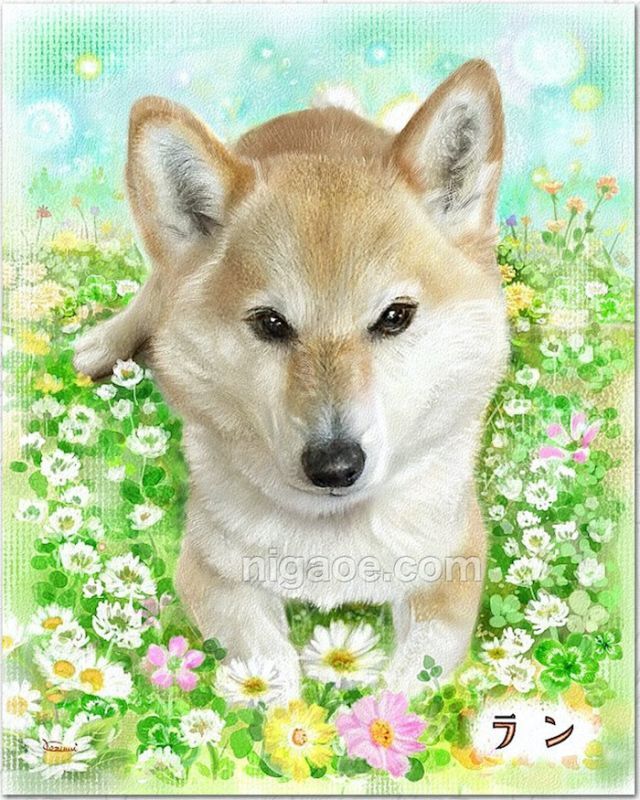 柴犬の似顔絵イラスト1